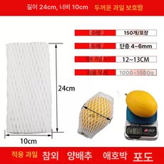 완충 과일캡 사과 그물망 박스 보호 포장지 과일망, 화이트, 1개, 자몽 두꺼운 24 x 10 150개