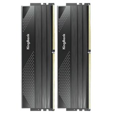킹뱅크 스타 블레이드 DDR5 하이닉스 A다이 6400MHZ CL30 데스크톱용 램 16GB 블랙 2개입, 1개, KP46403016G