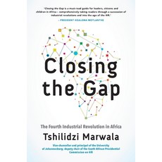Closing the Gap: The Fourth Industrial Revolution in Africa Paperback, Pan MacMillan, English, 9781770107861