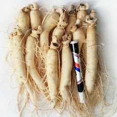 [GAP 인증 인삼] 농부가 직접 드리는 6년근-5년근 못난이 인삼(난발삼) 무료세척 예쁜 정품수삼 파삼 홍삼액달임오쿠 인삼튀김 삼계탕 인삼라떼(믹서) 인삼주, 750g, 1개, 세척안함, 10.정품가정용(750g, 15뿌리내외)