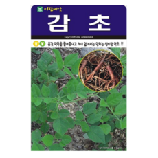 감초 500립 씨앗 종자 모종 텃밭 주말농장 아람종묘 그린종묘사