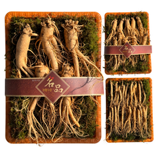 강화 농장 인삼 6년근 보통 Nhan sam Nong trai Gangwha 6nam tuoi Trung binh, 1세트, 1kg