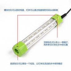 오징어 집어등 수중 쭈꾸미 미니 낚시 볼락 눈알 어류 유인등, 1개, 12V200W 화이트 10m 케이블, 단일 모델