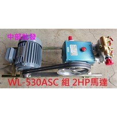 物理牌 WL-530ASC 1吋免黃油自動洩壓陶瓷柱塞 2HP單相馬達電動農機噴霧機 高壓洗車機, 機子+