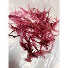 紫晶藻&鳳尾藻 乾燥海藻絲，富含膳食纖維，健康輕食 100克, 1個