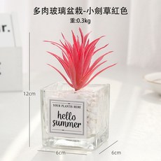 仿真多肉植物盆栽 綠色多肉 玻璃盆器, 1個, 小劍草_紅色
