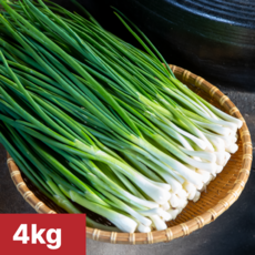 [여수진이네] 당일제조 국내산 여수 쪽파, 1세트, 4kg