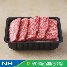 전대표 축협 굿뜨래 한우 1등급 살치살 단품 / 산지직송, 1개, 600g