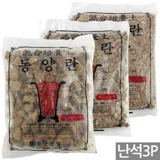 세인화분 동양란 난석 소포장 소립 중립 대립 3개세트, 1개, 동양란3P(소립중립대립) 1개, 동양란3P(소립중립대립)