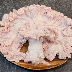 요비월드 도래창 500g 돼지구이 캠핑음식 돼지특수부위