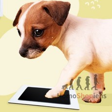쇼피엔스 강아지 발도장 스탬프 반려견스탬프, 파, 1개