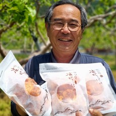 산청 감말랭이 지리산감말랭이 덕산 고종시감말랭이, 1개, 600