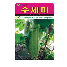 흙닷컴 수세미씨앗 20립 꽃씨앗 천연 수세미 약초씨앗, 5개