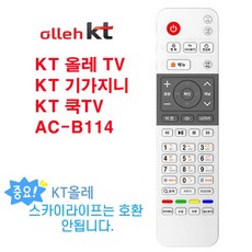 정품 올레 KT B114 기가지니 KT셋톱박스 리모컨, 정품 / 기가지니 셋톱박스 리모컨(건전지 별도), 1개