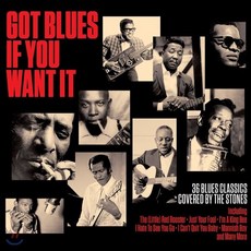 [CD] 블루스 모음집 (Got Blues If You Want It)