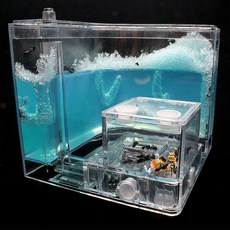 개미하우스 ㄱ자형 관찰 세트 곤충키우기 취미 교구, 1개