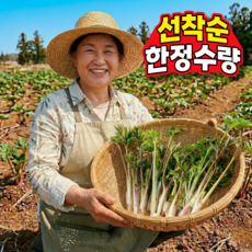 [하루딱50개한정수량] 올해 첫수확 국내산 땅두릅, 1세트, 500g