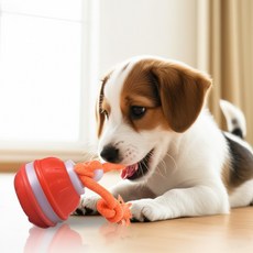 올데일로 반려동물 움직이는 자동장난감 스마트롤링볼, 1개, 오렌지