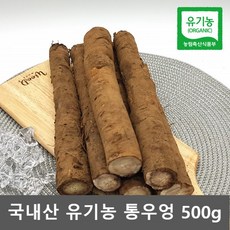 유기농샵 유기농 우엉뿌리 국산 생우엉 통우엉 한약재 밥반찬 우엉차 500g, 1개