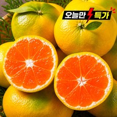 [하루 60박스만] 달콤탱글 초고당도 하우스감귤, 1박스, 2kg