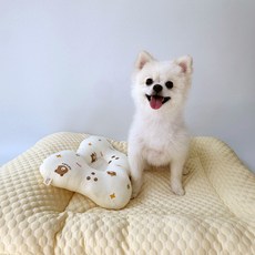 스카이몰 강아지 수면베개, 구름곰돌이, 1개