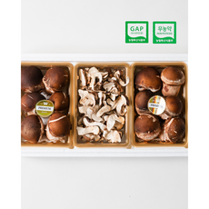 무농약/GAP 참송이버섯 연말선물 부모님지인선물 참송이버섯3구선물세트, 100세트