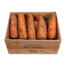 삼다몰 제주 구좌 당근, 1박스