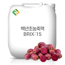 백년초농축액 60Brix 200g 샘플, 1개