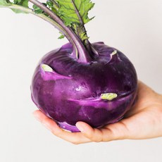 국내산 콜라비 2kg (4-8개) 아삭하고 달콤한 양배추와 순무의 콜라보, 1박스