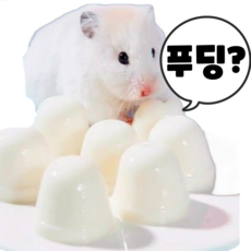 (BEST) YEE 햄스터 산양유 푸딩 간식 골든 드워프 햄스터 친칠라 토끼 래트 기니피그, 6개, 15g
