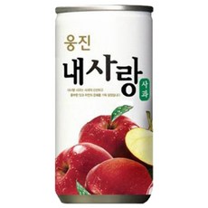 웅진 내사랑 사과 180ml x 30캔