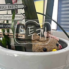 식집사 사각형 식물 이름표 아크릴표지판 꽃이름표, 없음