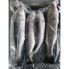 완도 자연산 손질농어 4마리 급냉 (800g) 단백질 껄떡이, 대1마리800g(선물용), 1개