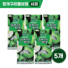 청개구리 멤브렌 사과향 5개입, 5개, 01 사과향