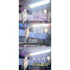 多功能筆筒檯燈 護眼檯燈 折疊燈 閱讀燈 護眼桌燈 觸摸調光 書桌燈 (12H出貨), 升級款-含風扇