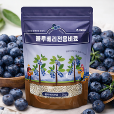 자재스토어 블루베리비료 2kg 블루베리전용영양제 라즈베리 복분자 딸기 아로니아 비료, 1개