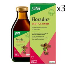 Salus Floradix 살루스 플로라딕스 킨더 액상 철분제 250ml X 3팩