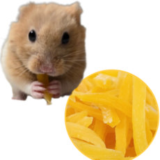 햄스터 고구마 말랭이 간식 자연간식 골든햄스터 슈가글라이더 토끼 고슴도치 기니피그 간식 이갈이, 1개, 50g