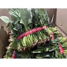 [로아프레시] 당일경매 당일발송 신선한 남해 고성초 시금치 1단 (900~1kg 내외), 1개, 900g