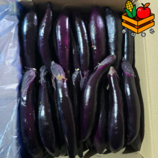 국내산 못난이 가지 상등급 당일경매 식자재 5kg, 1박스, 1kg(못난이)