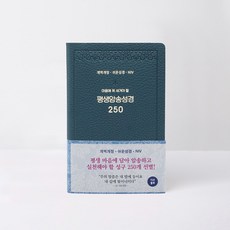 평생암송성경 250(개역개정/쉬운성경/NIV/다크블루), 아가페출판사