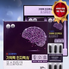[루틴] 뇌세포건강 코오롱 포스파징코 x 4 혈액순환영양제 은행잎추출물 기억력영양제, 4개, 30회분