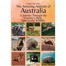 (英文圖書)The Amazing Animals of Australia: A Journey Through the Region's Most Spectacula... 平裝版, Independently Published, 英文