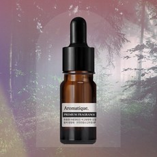 [아로마티끄] 석고방향제 오일-10ml 스톤 디퓨저 리필 실내 차량용 프래그런스, 1개, 10ml, 031. 테싯