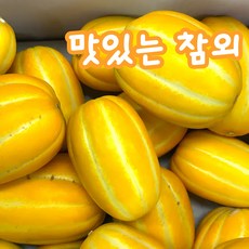 성주 고당도 가정용 참외, 1박스, 2.5kg