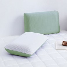 에이프릴앳홈 냉감 메쉬 메모리폼 베개 - 그린, 에이프릴앳홈 냉감 메쉬 메모리폼 베개 - 그린 알러지케