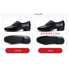 댄스화 3cm 남성 탱고 재즈화 왈츠 줌바 인조가죽