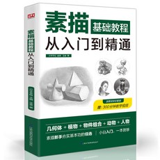 番茄書屋 漫畫技法從入門到精通：素描基礎全教程，自學速寫人物書籍, 素描基礎教程從入門到精通