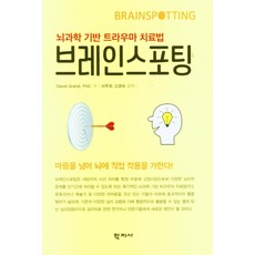 Hakjisa 腦點療法： 以腦科學為基礎的創傷治療法, David GrandPHD