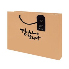 크라프트 직사각 가로 쇼핑백 감사 대형 10매 세트 1Poto62iZw
